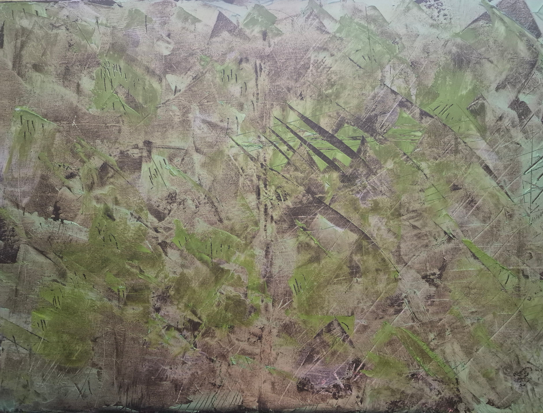 Moss Field